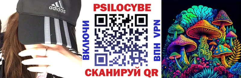 shop формула  Советский  Галлюциногенные грибы Psilocybine cubensis 